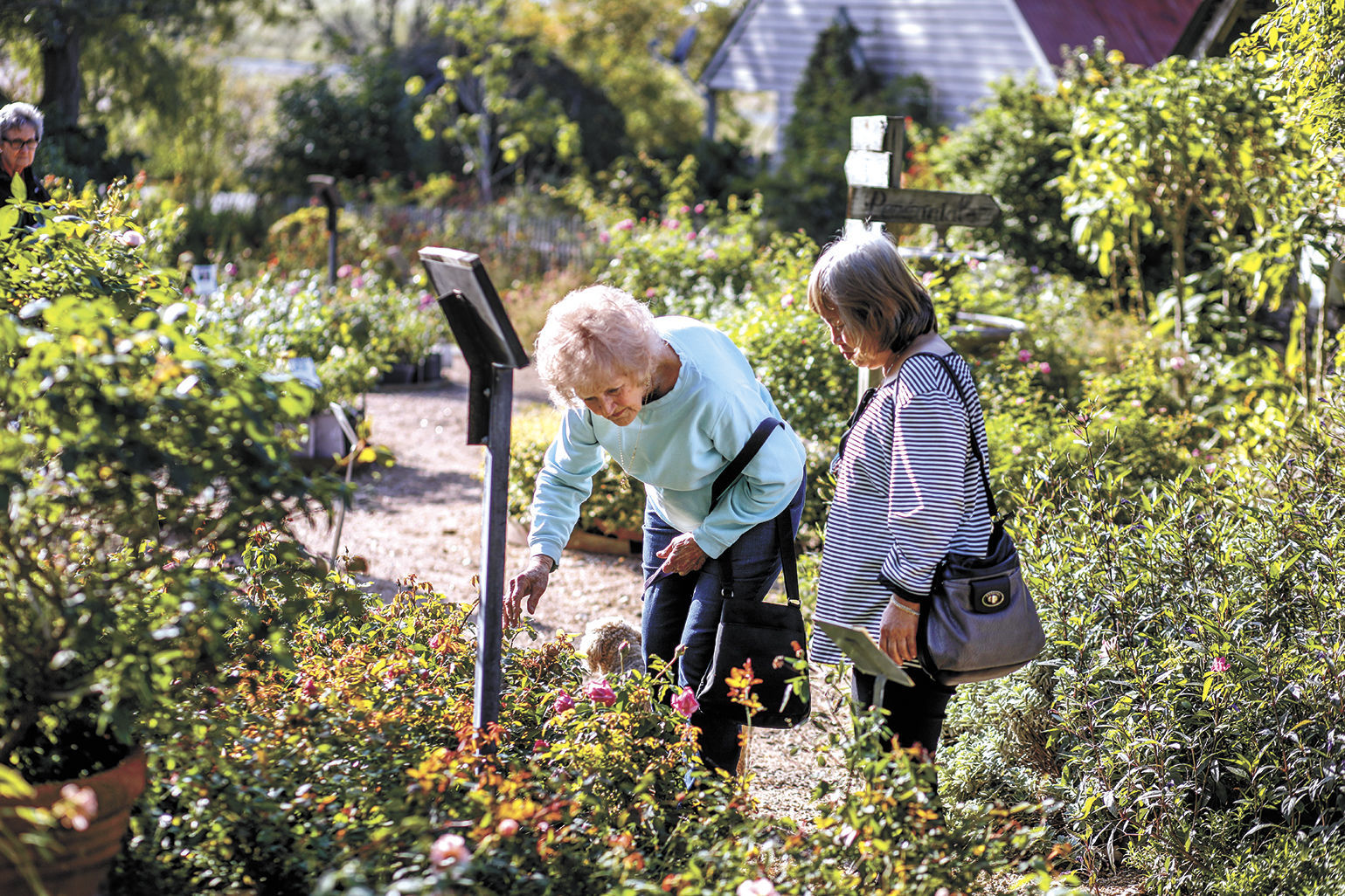 Stopping to smell the roses